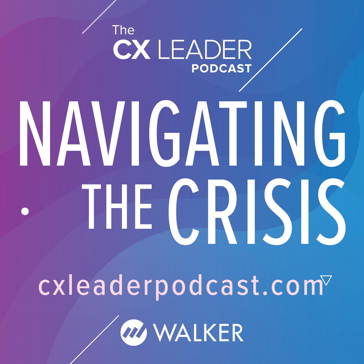 Navigating the Crisis